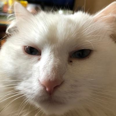 Nyriox_'s profile picture. je tweet pas enfaite :s