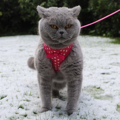 PayOffWizardPS4's profile picture. 