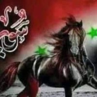 ghusoum4 (@ghusoum4) 's Twitter Profile
