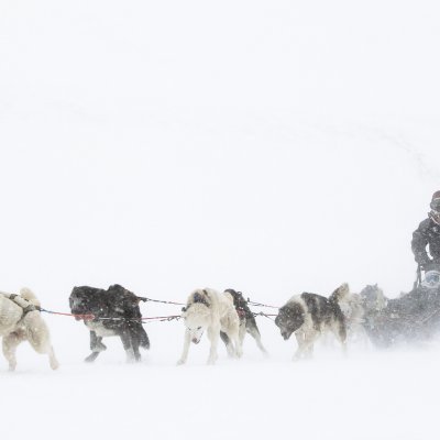 fengliu887's profile picture. 