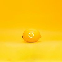 E55 (@e55team) 's Twitter Profile