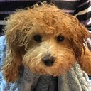 Dawn Fenner - @dawn_fenner - Twitter