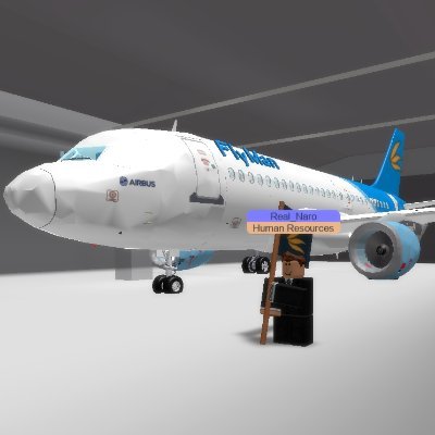 He/Him • Above the age requirement to use Discord • RoAv and Aviation Enthusiast

Having issues with Roblox again...