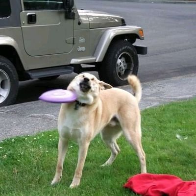 red918399's profile picture. 