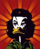 @duckevara