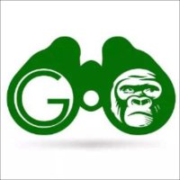 GoExplore Safaris - DMC(@goexploresafari) 's Twitter Profileg