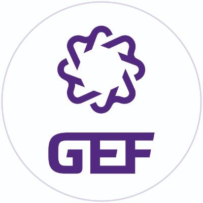 GreenEnergy Finland Oy (GEF) on suomalaisomisteinen aurinkosähkön edelläkävijä vuodesta 2010.  #GEF #aurinkovoimala #GEFVision #aurinkosähkö #aurinkopaneeli