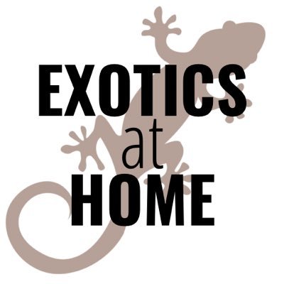 exoticsathome's profile picture. Hey I’m Luke and I have a Reptile/Amphibian Youtube Channel.
