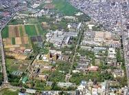 microsft_words's profile picture. 今年はゃかちゃの封じ手都市優勝今年は準優勝だったので、去年こそは優勝したいです。次優勝杯頑張ります優勝(http://t.co/7OypZOGXvDアソシエイトリンクを貼っています)