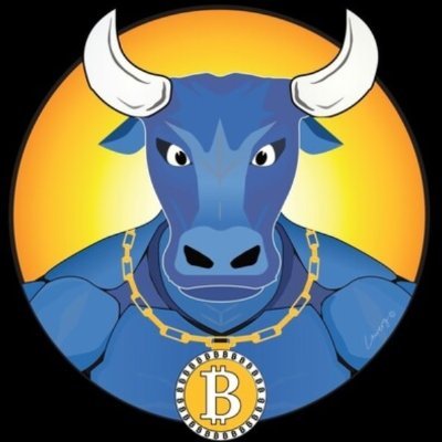 hodlfckyea's profile picture. 