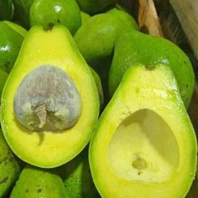 Tidak bulat, Tidak kotak, Tidak usah dipikirin