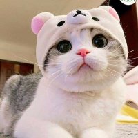 choihayeon (@hello_itsme26) 's Twitter Profile