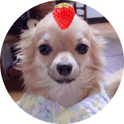 イヌガスキー Inukaou Twitter イヌガスキー Inukaou Twitter