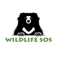 Wildlife SOS(@WildlifeSOS) 's Twitter Profile Photo