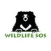 Wildlife SOS (@WildlifeSOS) Twitter profile photo