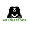 WildlifeSOS's profile picture. With your help, we rescue and care for orphaned, injured and exploited wildlife.  To notify about an animal in need please call hotlines listed on our website.