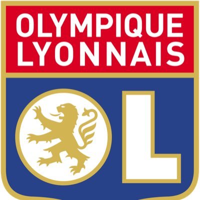 Supporter lyonnais 69  on parle de foot montage...