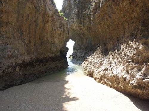 NISSANWGNC34's profile picture. 