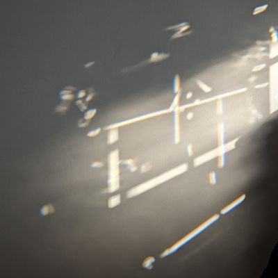 bugaboo_90's profile picture. Started with $35k invested in Gamestop. Turned that into $350k and now all in on Palantir and Blackberry. Documenting my journey to a million net worth!