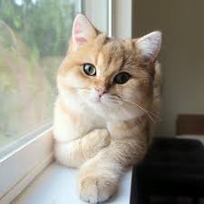 Alexjam59741626's profile picture. 