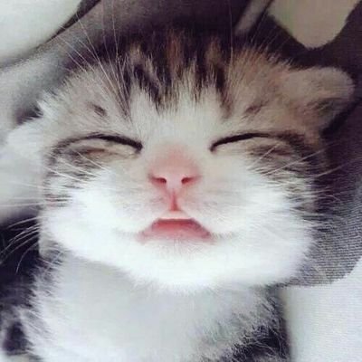 🐾💫💎さんのプロフィール画像