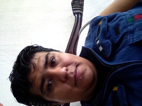 braincaus's profile picture. 