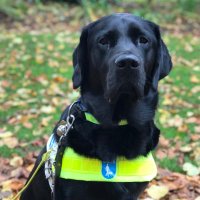 Rishton (@gd_rishton) 's Twitter Profile Photo Rishton (@gd_rishton) 's Twitter Profile Photo