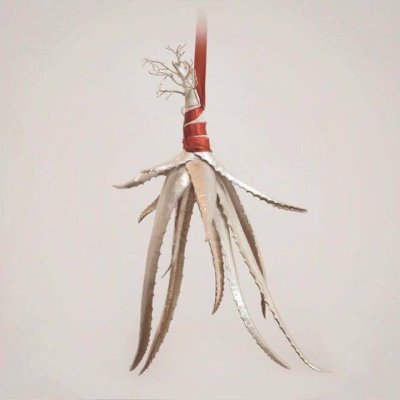 CasiDeTodoMiro's profile picture. Eclectic: Humor, Economics, Art, Politics, & more. RTs & ❤️ aren’t endorsements