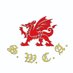 South Wales Cricket Association (@SWCA_Official) Twitter profile photo