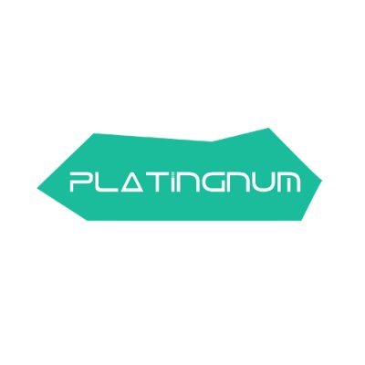 We are Platingnum, we strive to provide cloud infrastructure and strategy consulting services along with website and iOS/Android app Development services.