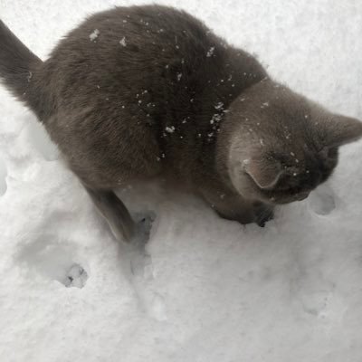 kirillbabichev3's profile picture. anonimous.stark
🌸, 🌿🛸
#zkApes
Don’t dump for basmati 
Hold for Bugatti
https://t.co/CA4xmZd1uy