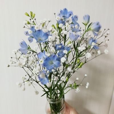 aaaaakaaaari's profile picture. 