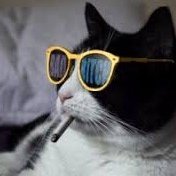 Sp29220730's profile picture. je suis un peintre sculpteur