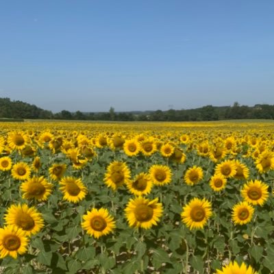 paulineblct5's profile picture. 