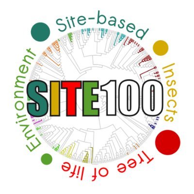 Phylogeny and evolution of the hyper diverse Coleoptera and other insects! Tweets from The Vogler lab, focusing on our SITE100 project