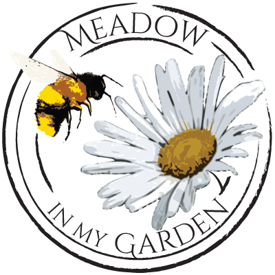 MeadowInGarden Profile Picture