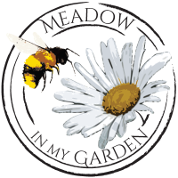 Meadow In My Garden(@MeadowInGarden) 's Twitter Profile Photo