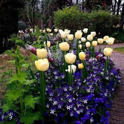 Phoeben19's profile picture. 