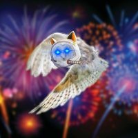 Owl Guy 84k Gang (@owlguy4) 's Twitter Profile