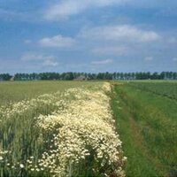 Geert de Snoo (@geertdesnoo) 's Twitter Profile