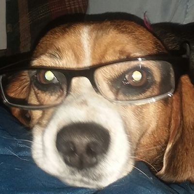 stuartryan999's profile picture. 