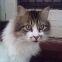 Dave Wentzel - @KD4ITI - Twitter