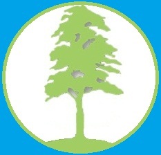 Paperlessismore's profile picture. Minder papier en natuur belasting door digitalisering en optimalisatie van Document Management, Record Retention en vernietiging/ recycling. MVO!