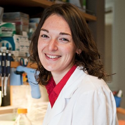 Assistant Professor at UCSF. Immunologist and Stem Cell Biologist designing immune evasion strategies to overcome barriers in beta cell replacement therapy.