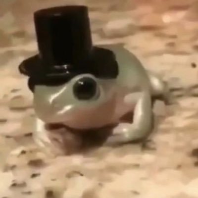 фелечка чугунさんのプロフィール画像