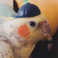 героиня в слезах (@littlefritter) 's Twitter Profile