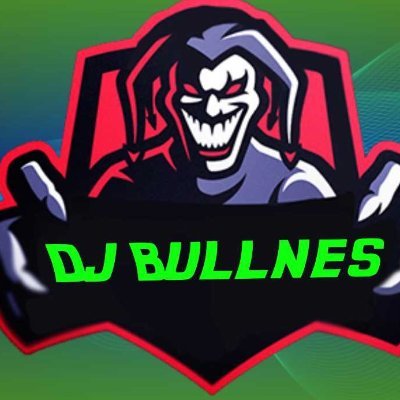 hola soy alfonso pero me conocen como djbullnes_twitch