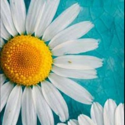 remnurYILMAZ13's profile picture. Tiktokurum