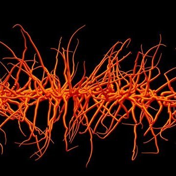 Cryptogam9's profile picture. #Bitcoin