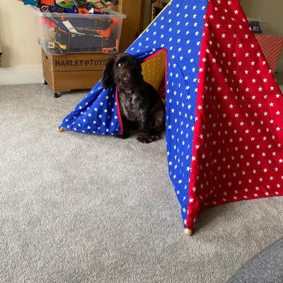 HMPClayts's profile picture. 